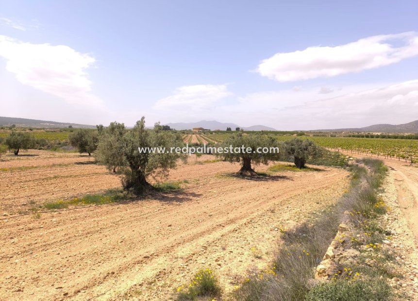 Videresalg - Plott -
Pinoso - Inland