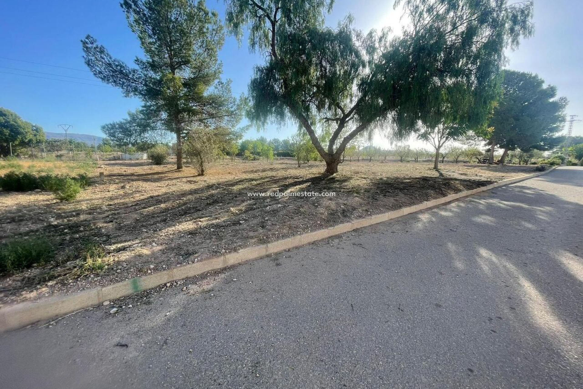 Videresalg - Plott -
Pinoso - Inland