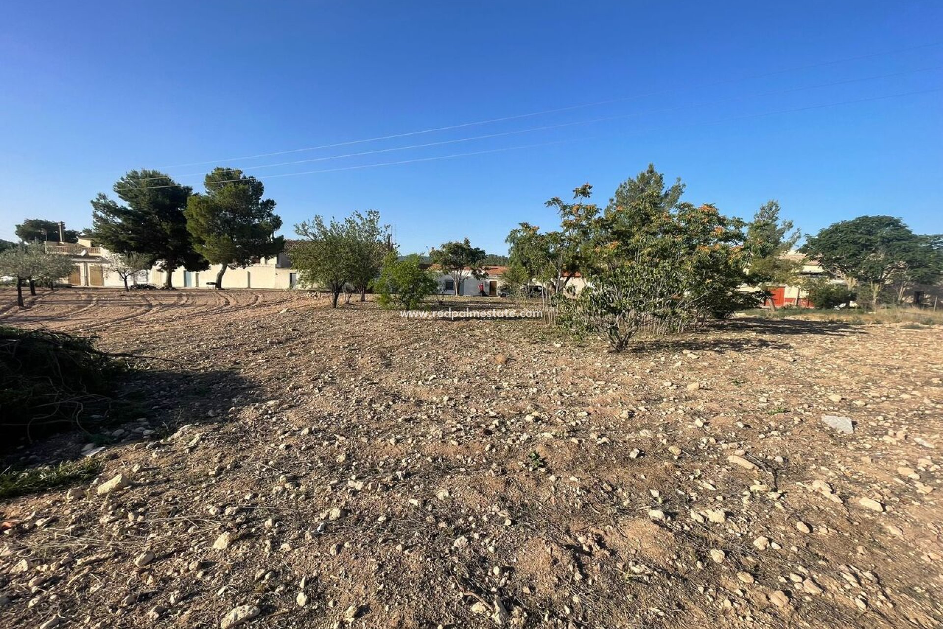 Videresalg - Plott -
Pinoso - Inland