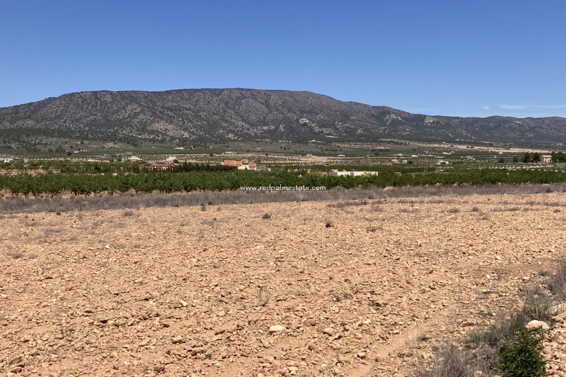 Videresalg - Plott -
Pinoso - Inland