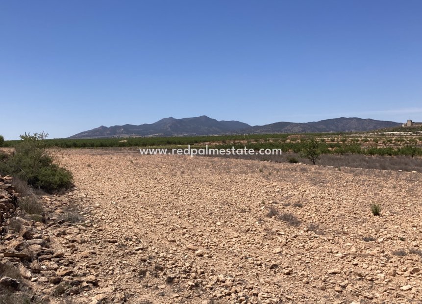 Videresalg - Plott -
Pinoso - Inland