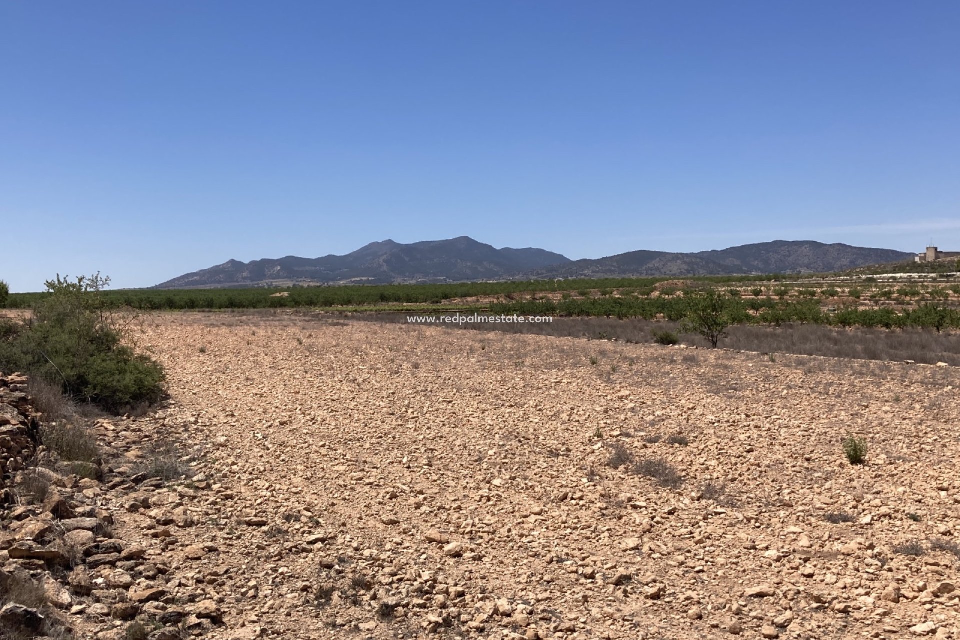 Videresalg - Plott -
Pinoso - Inland