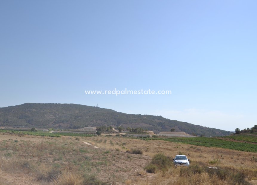 Videresalg - Plott -
Pinoso - Inland