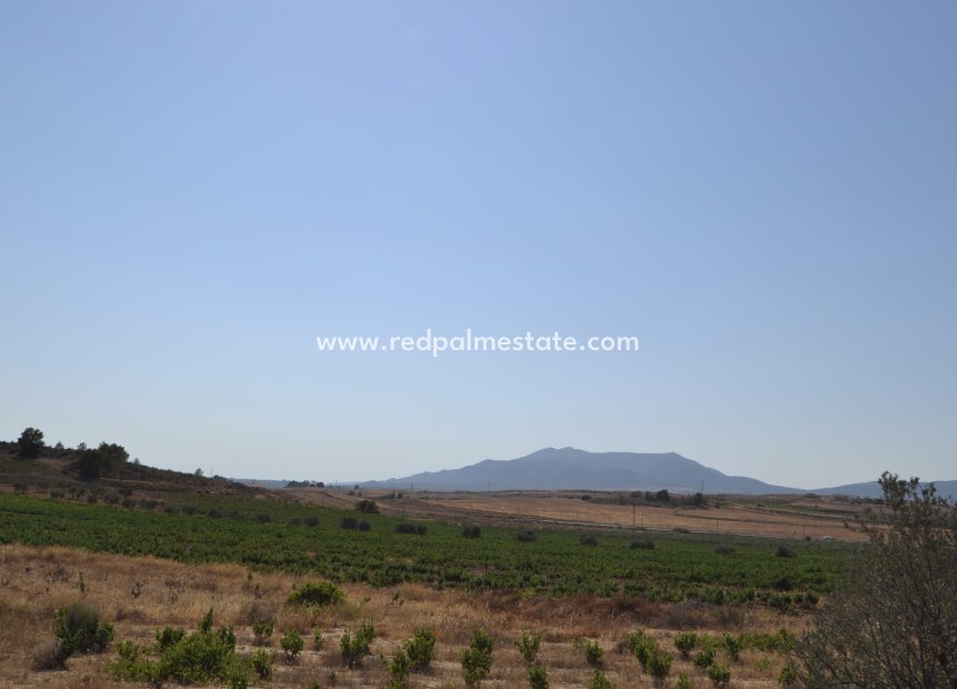 Videresalg - Plott -
Pinoso - Inland