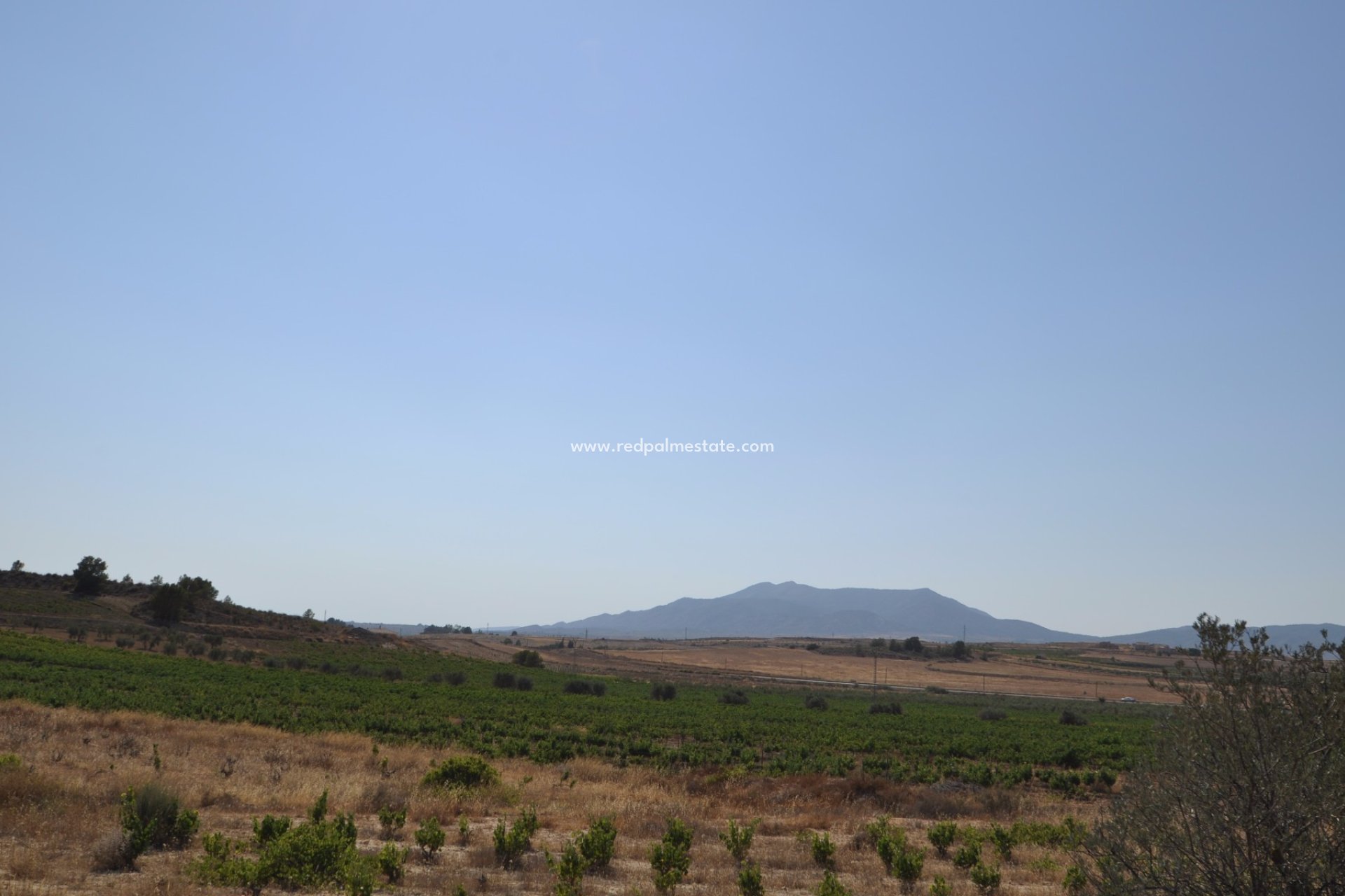 Videresalg - Plott -
Pinoso - Inland