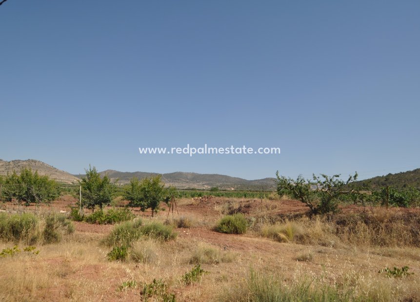 Videresalg - Plott -
Pinoso - Inland