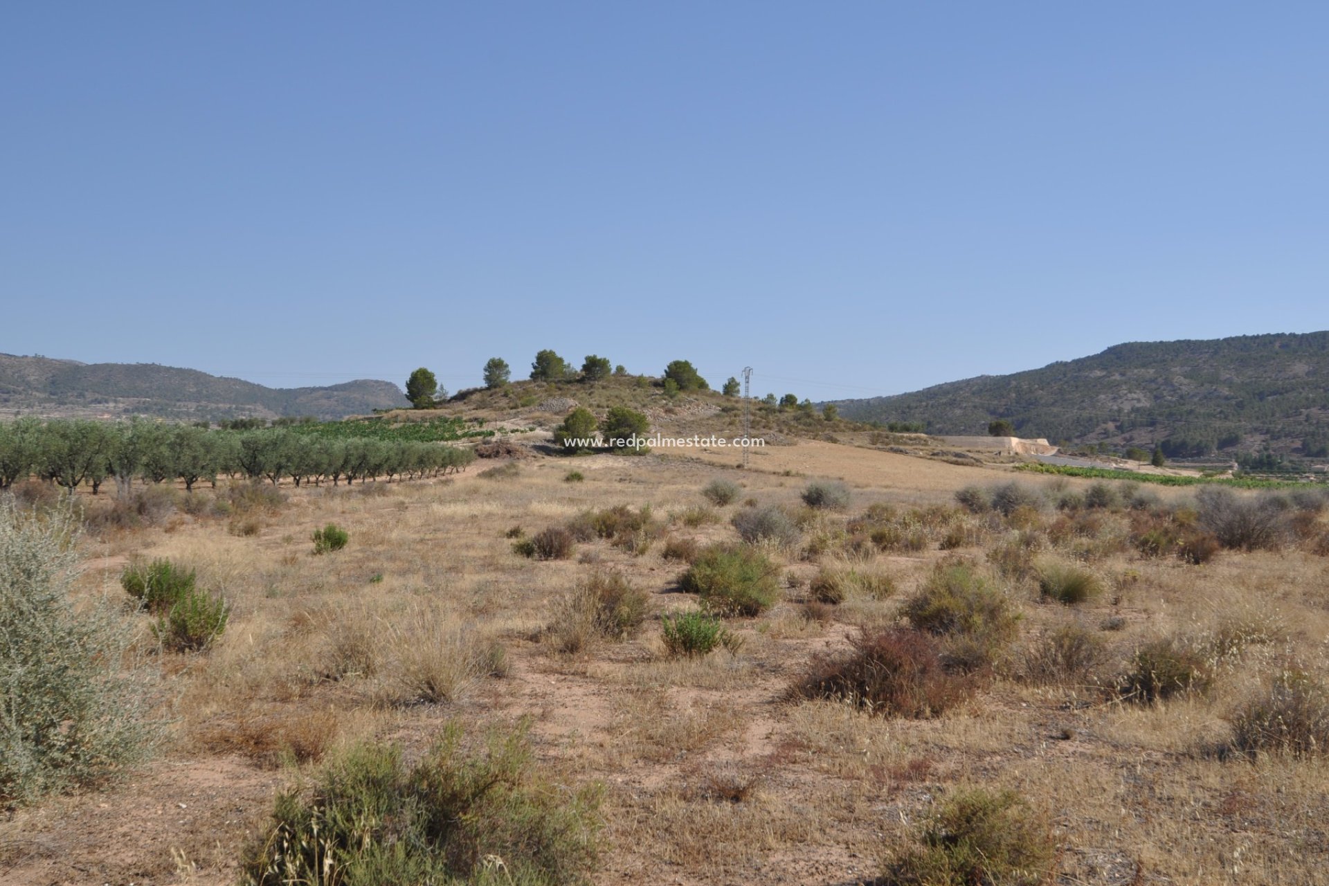 Videresalg - Plott -
Pinoso - Inland