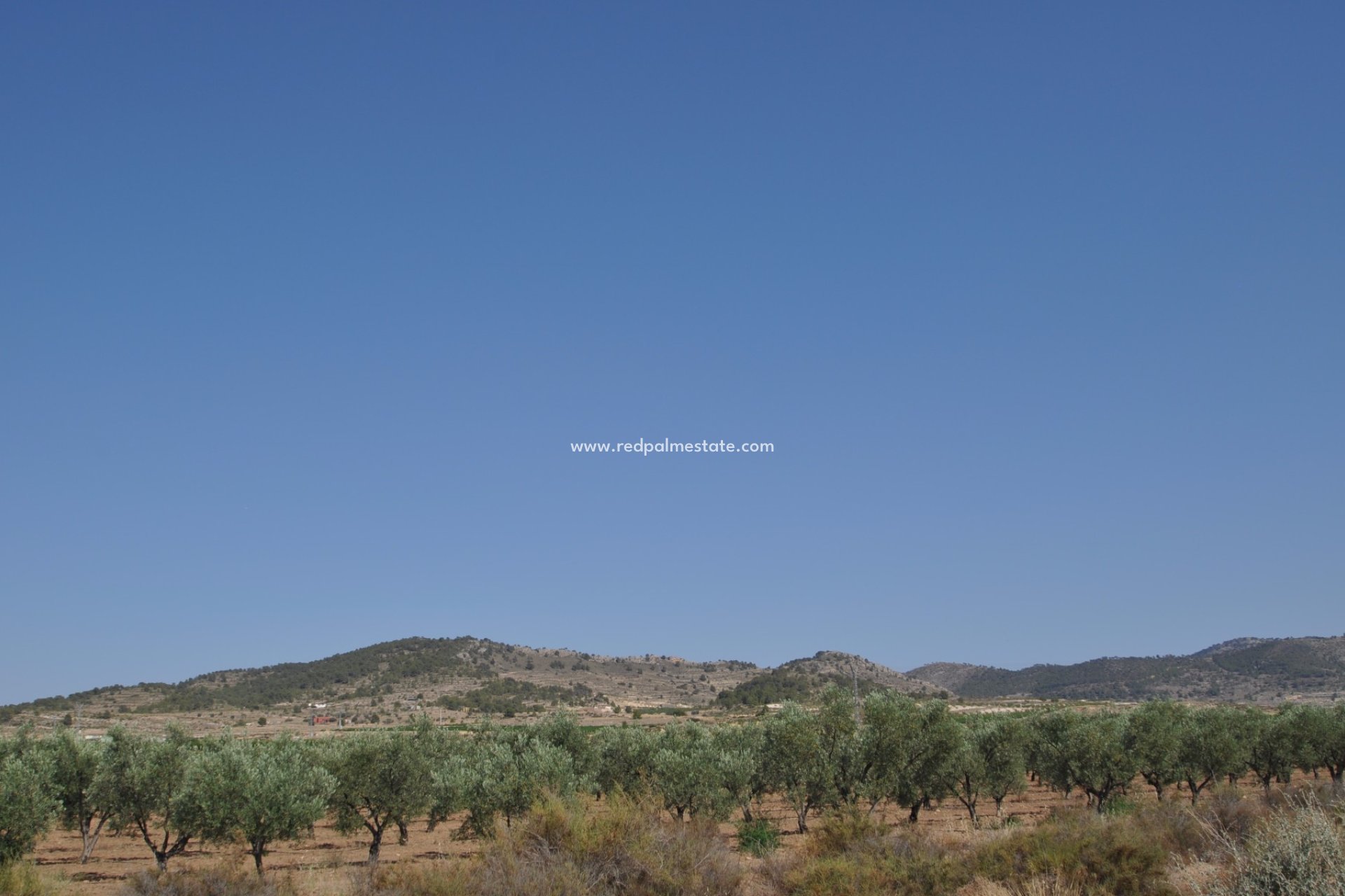 Videresalg - Plott -
Pinoso - Inland