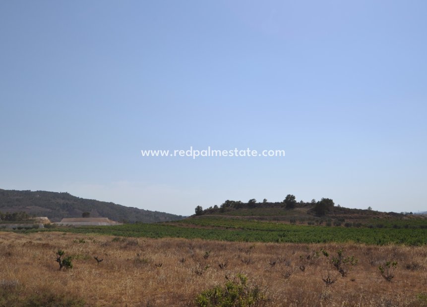 Videresalg - Plott -
Pinoso - Inland