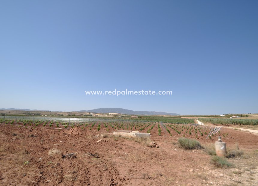 Videresalg - Plott -
Pinoso - Inland