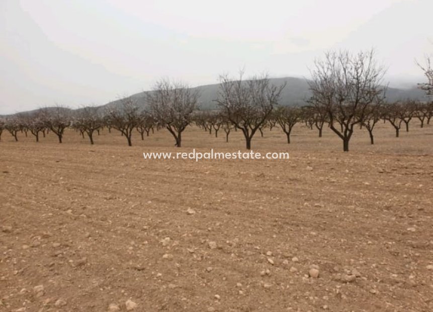 Videresalg - Plott -
Pinoso - Inland