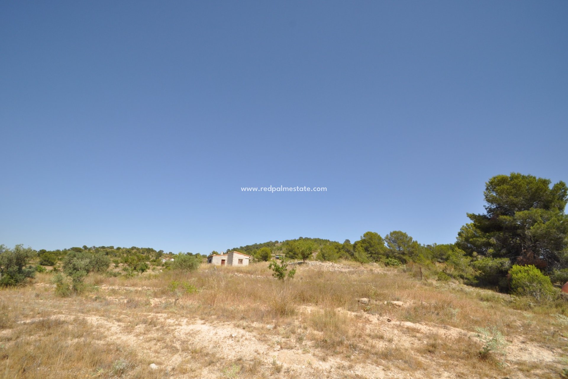 Videresalg - Plott -
Pinoso - Inland