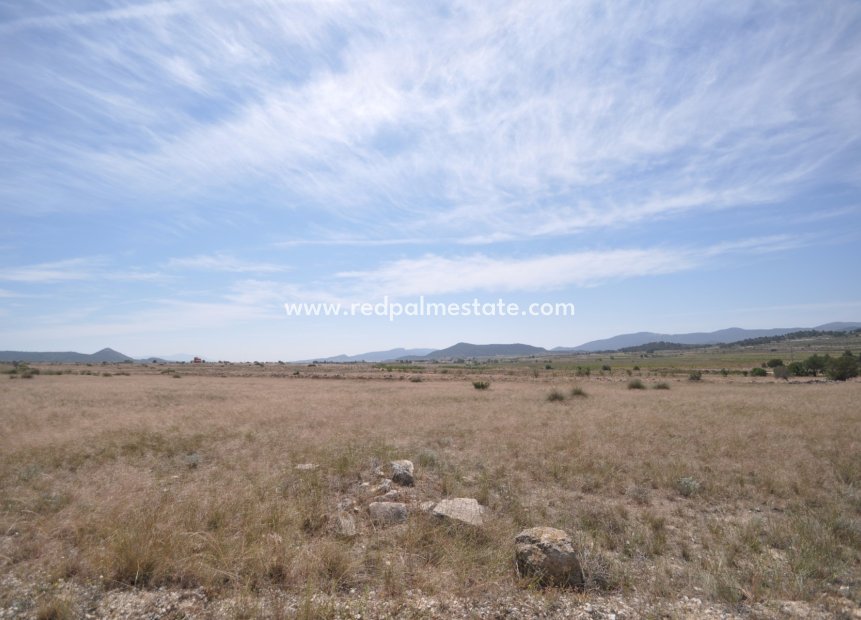 Videresalg - Plott -
Pinoso - Inland