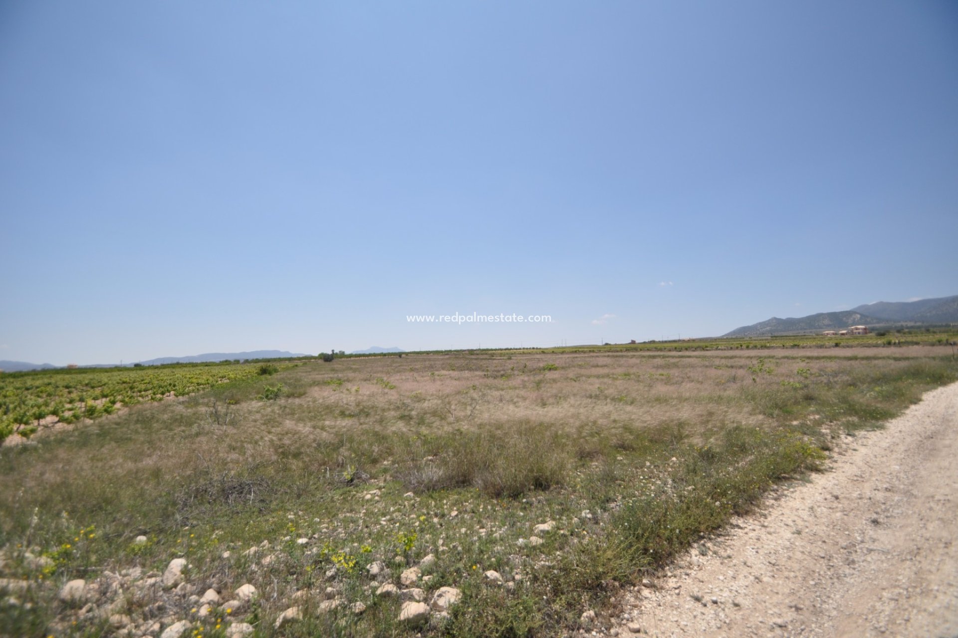 Videresalg - Plott -
Pinoso - Inland