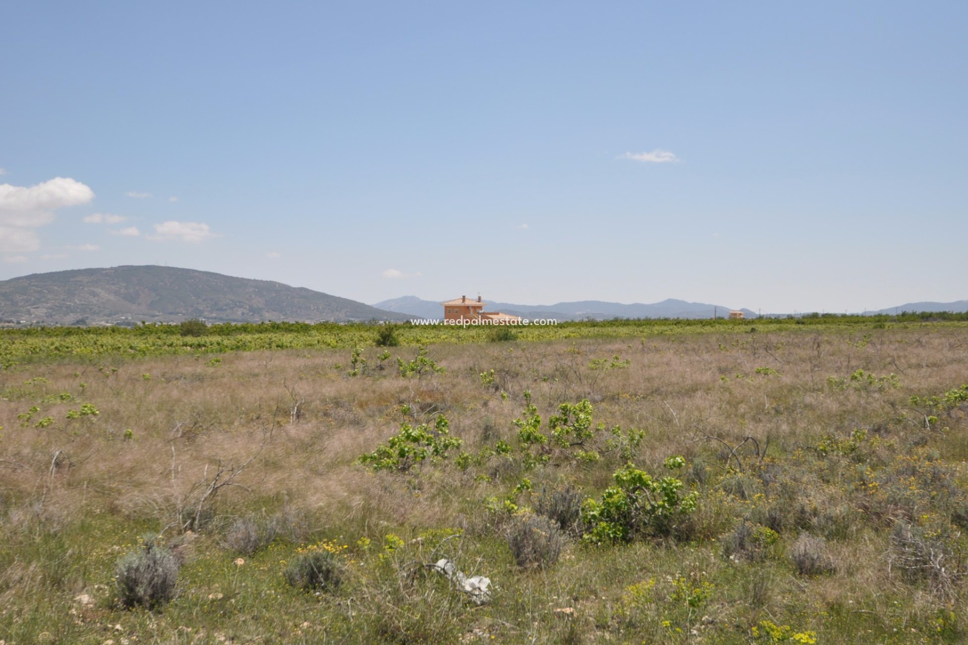 Videresalg - Plott -
Pinoso - Inland