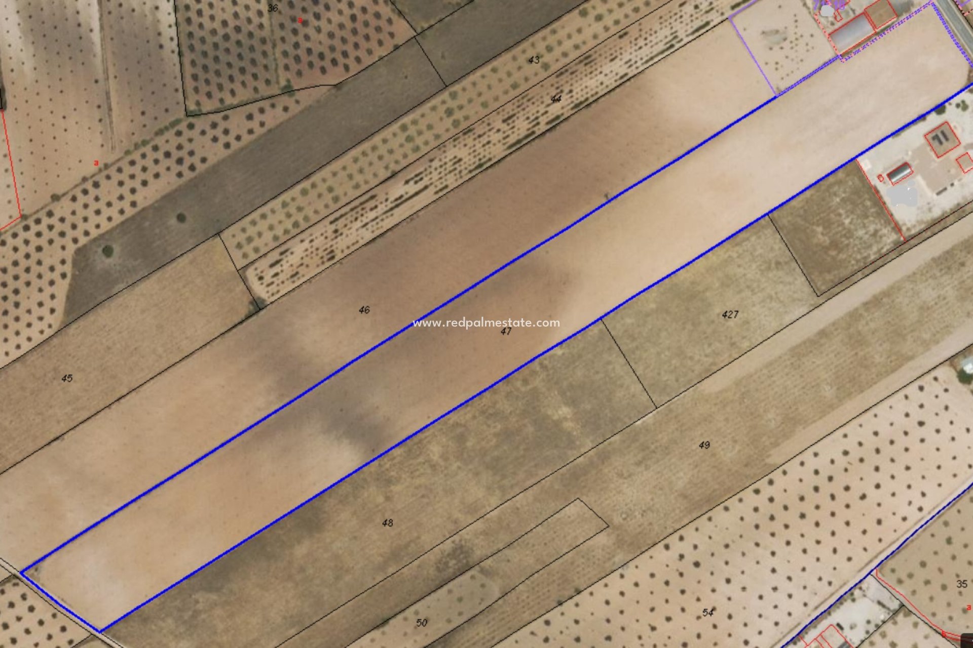 Videresalg - Plott -
Pinoso - Inland