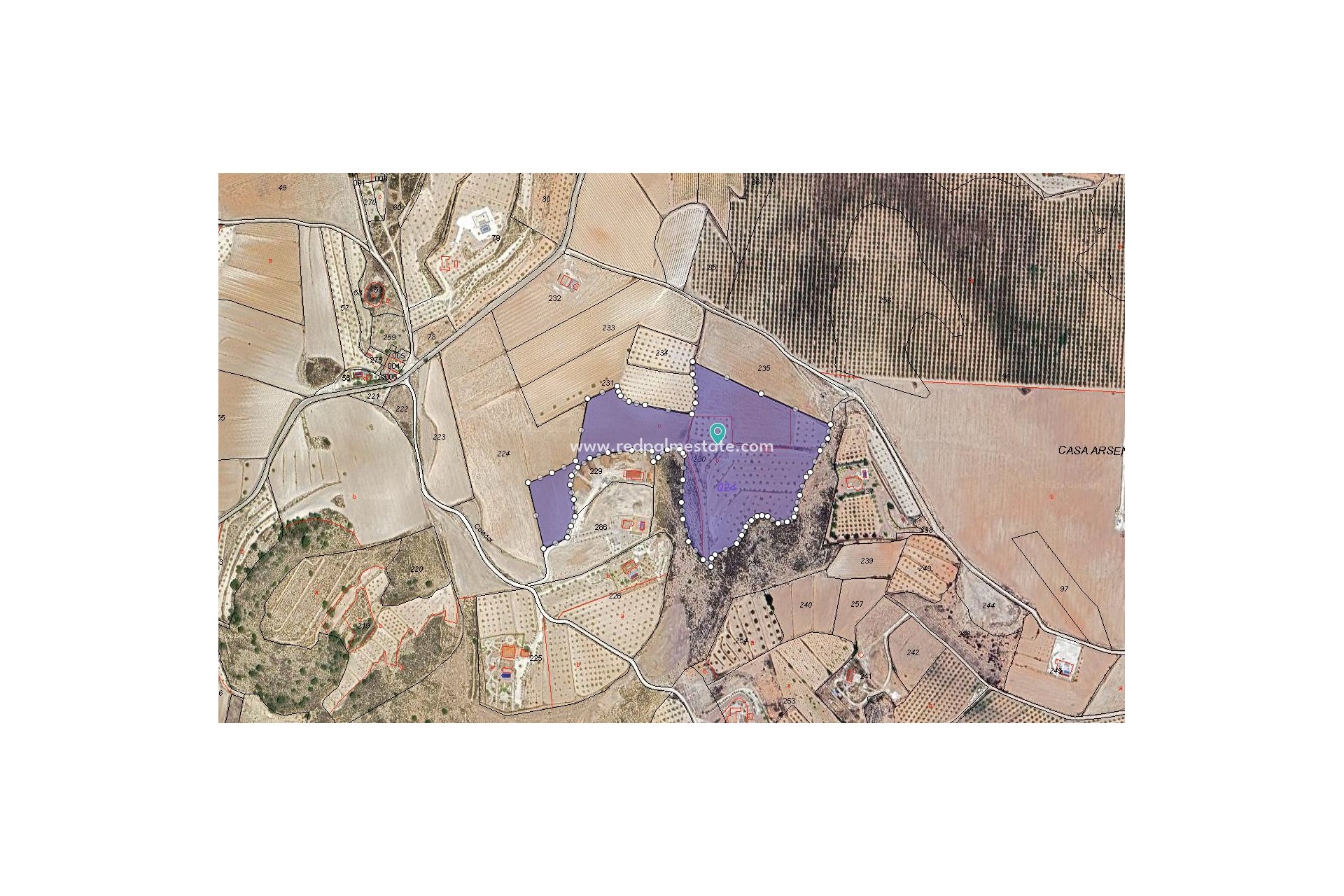 Videresalg - Plott -
Pinoso - Inland