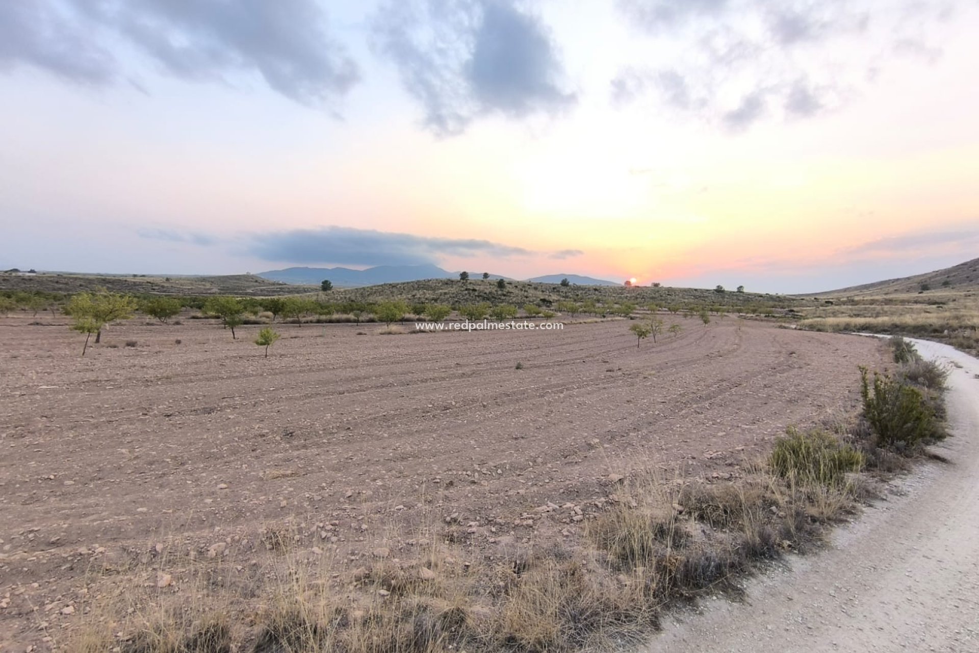 Videresalg - Plott -
Pinoso - Inland