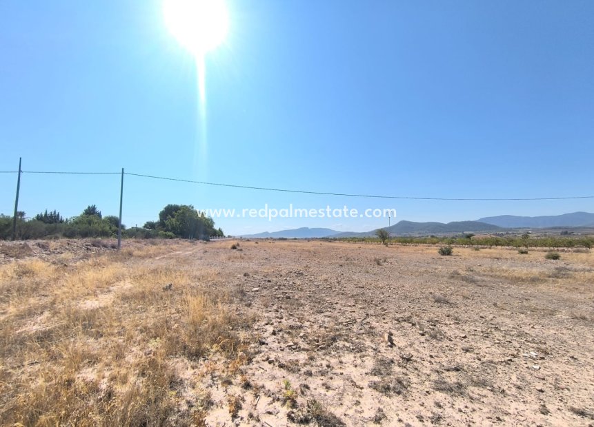 Videresalg - Plott -
Pinoso - Inland