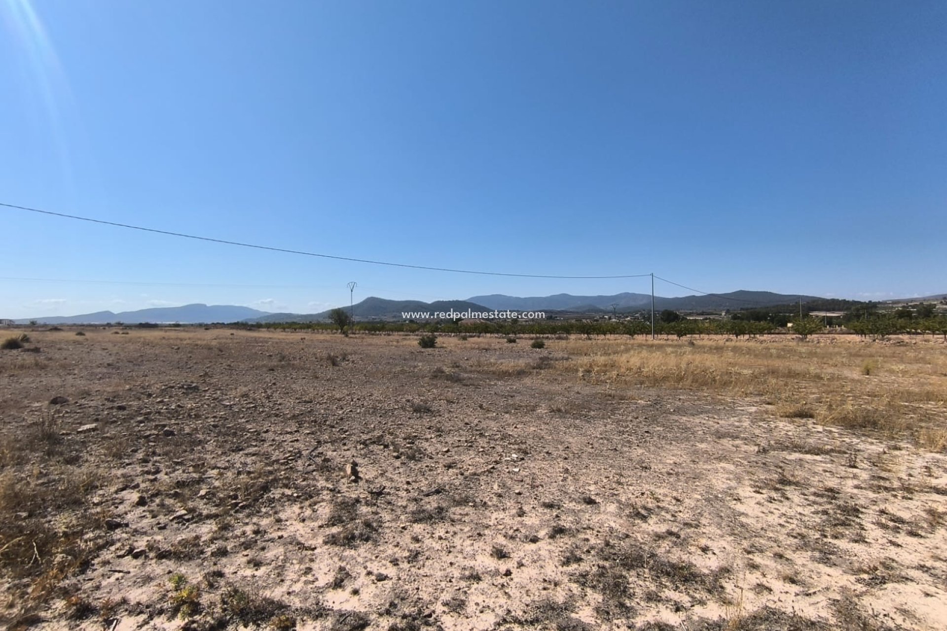 Videresalg - Plott -
Pinoso - Inland