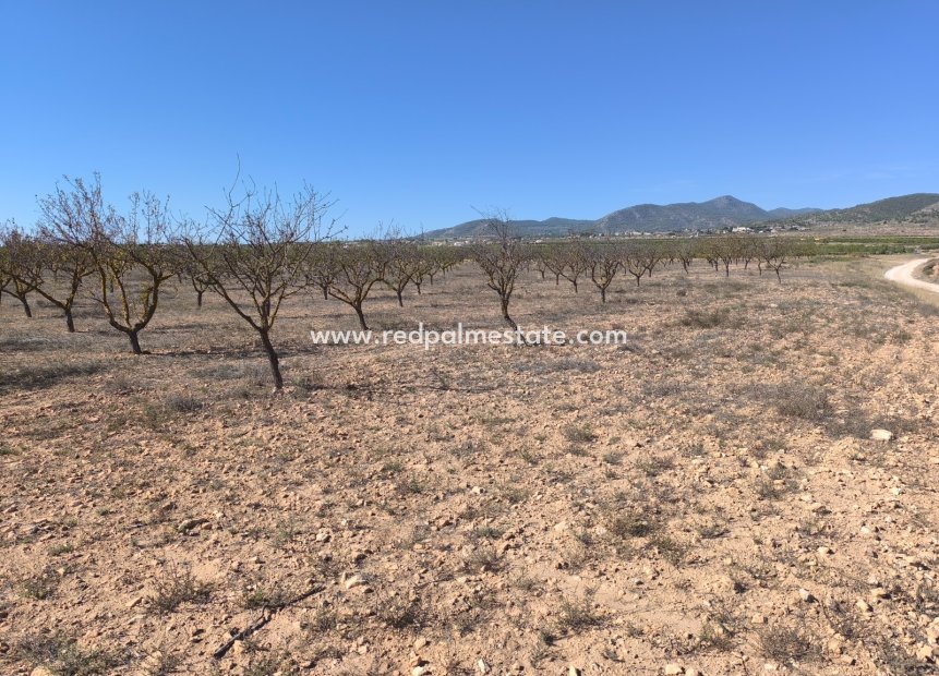 Videresalg - Plott -
Pinoso - Inland