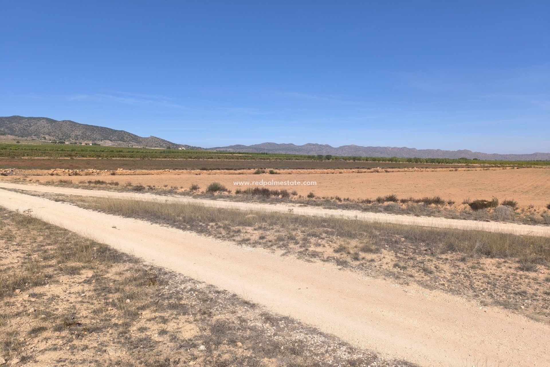 Videresalg - Plott -
Pinoso - Inland