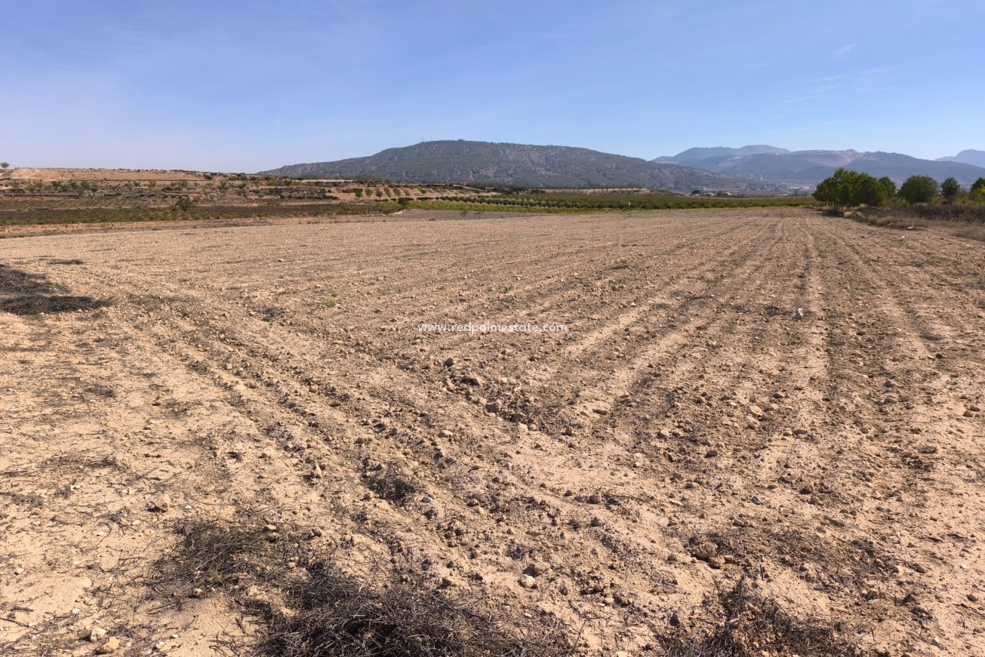 Videresalg - Plott -
Pinoso - Inland