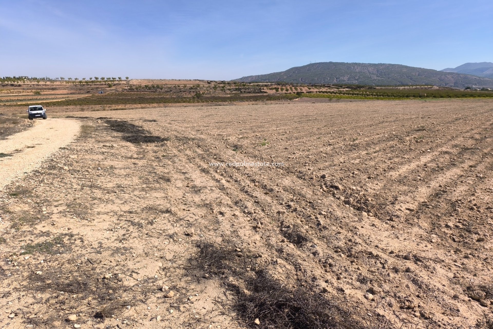 Videresalg - Plott -
Pinoso - Inland