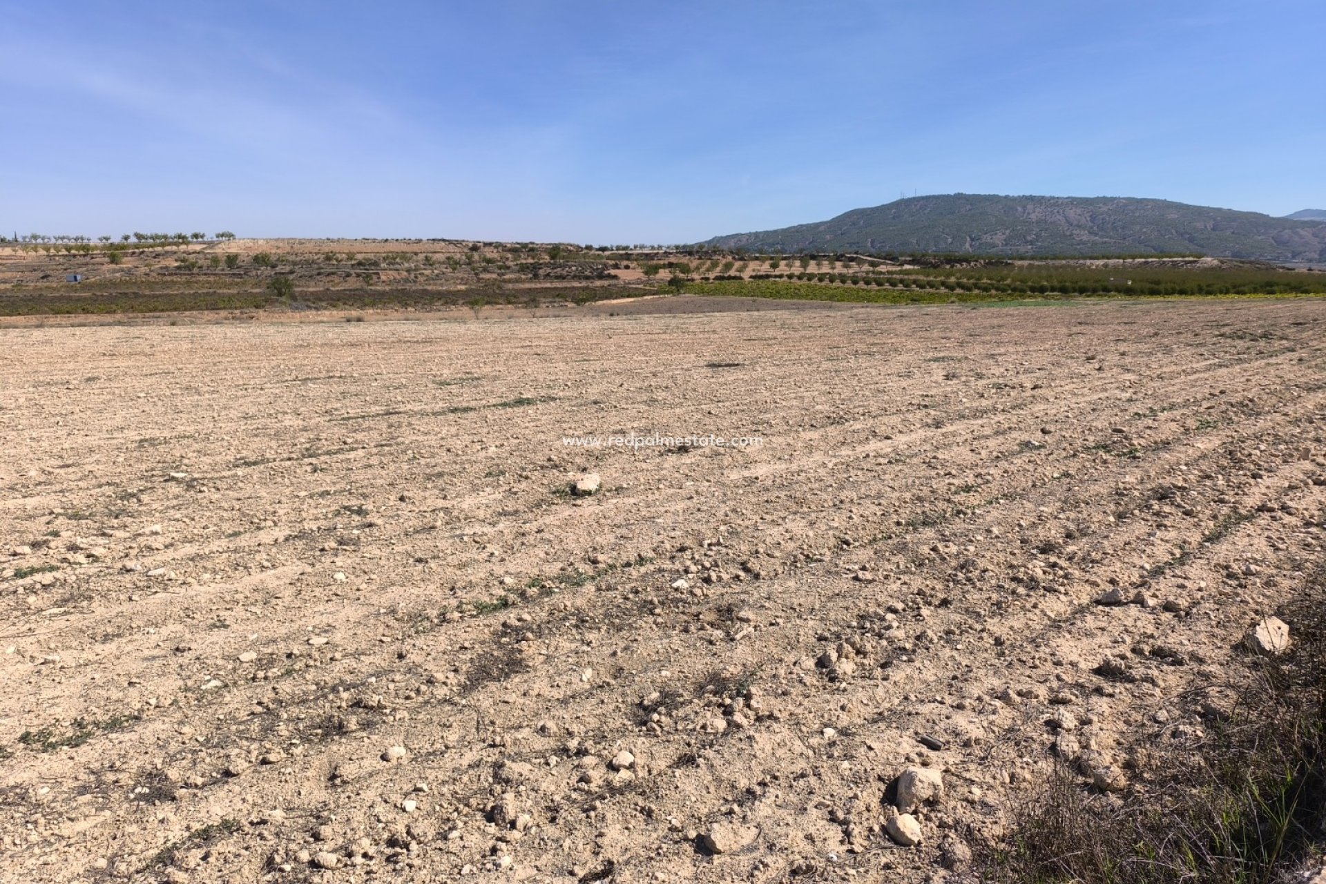 Videresalg - Plott -
Pinoso - Inland