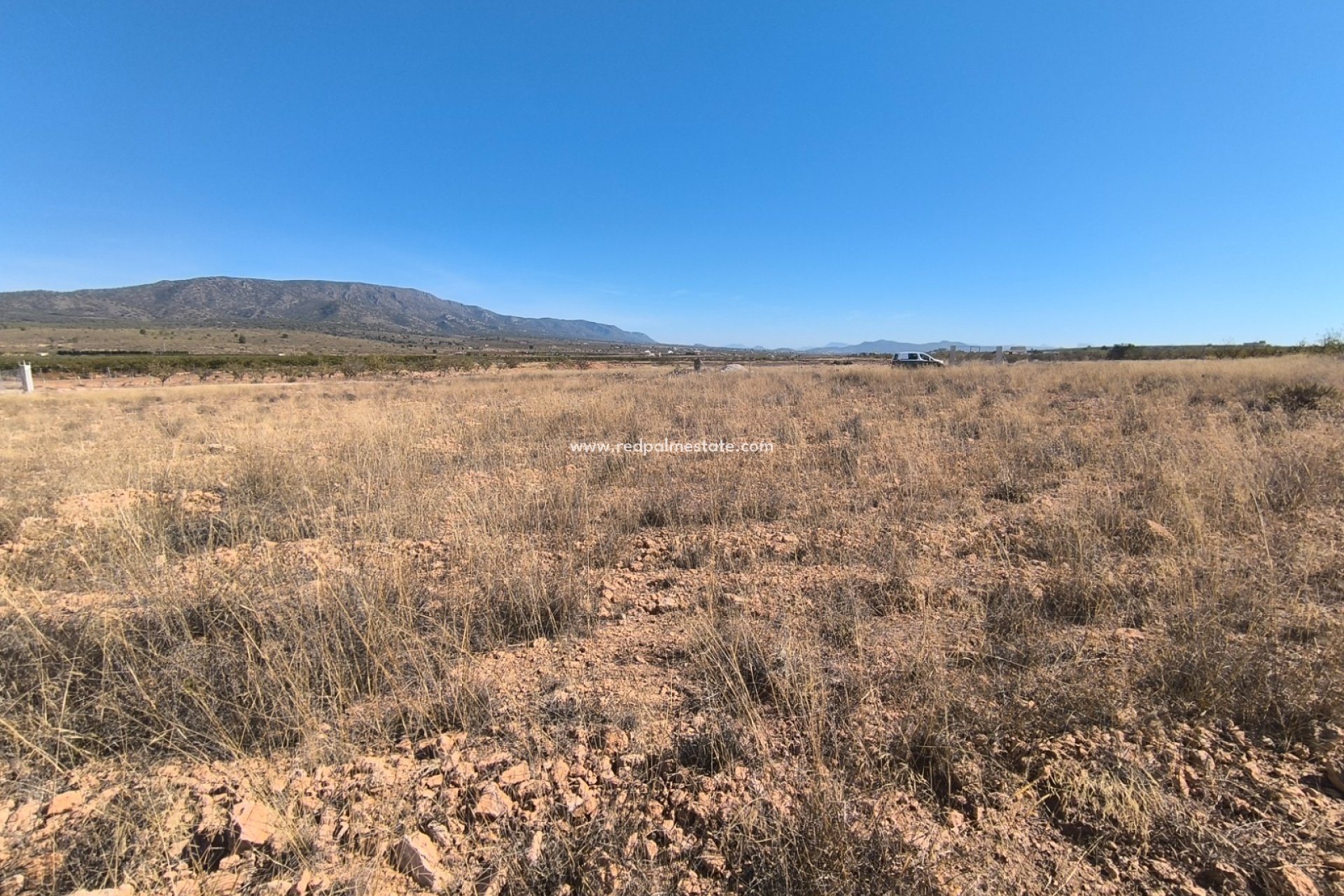 Videresalg - Plott -
Pinoso - Inland