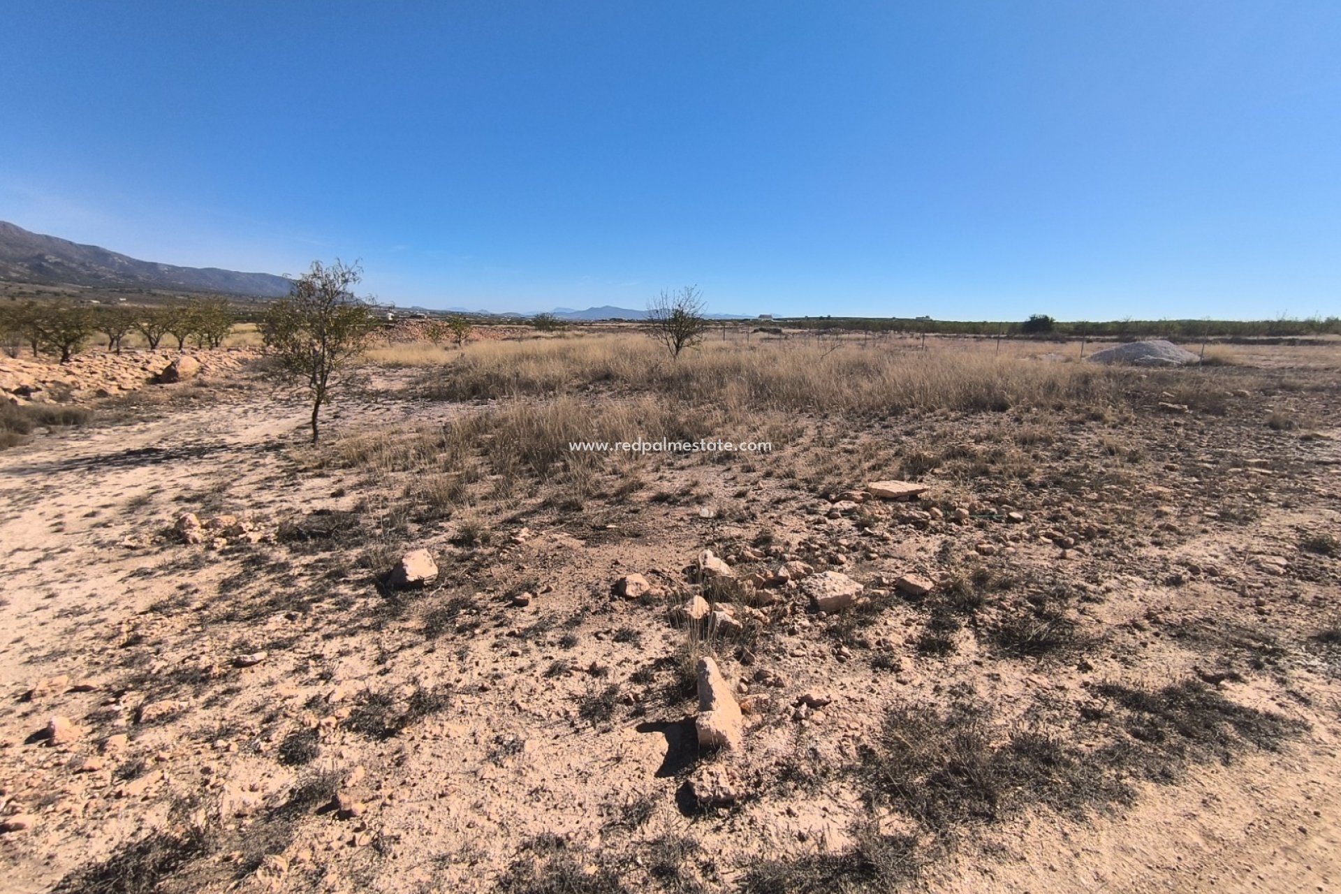 Videresalg - Plott -
Pinoso - Inland