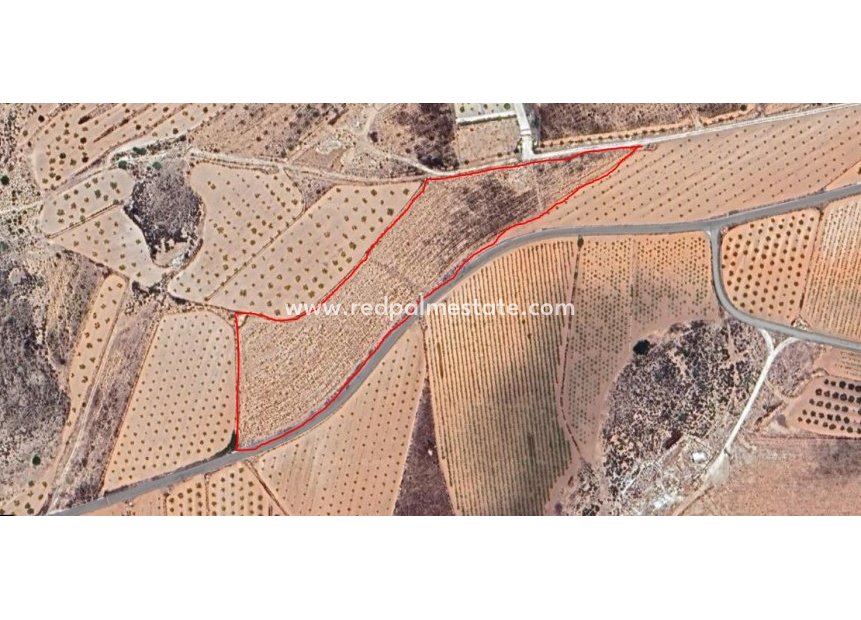 Videresalg - Plott -
Pinoso - Inland