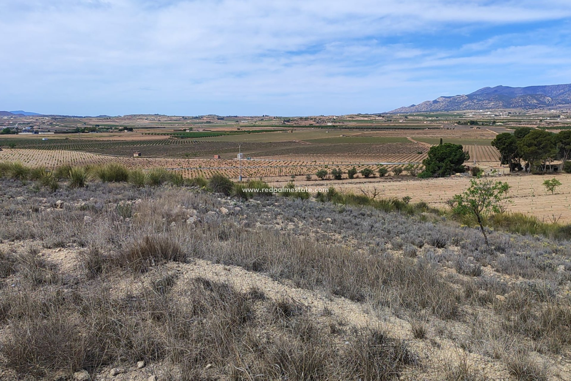 Videresalg - Plott -
Pinoso - Inland