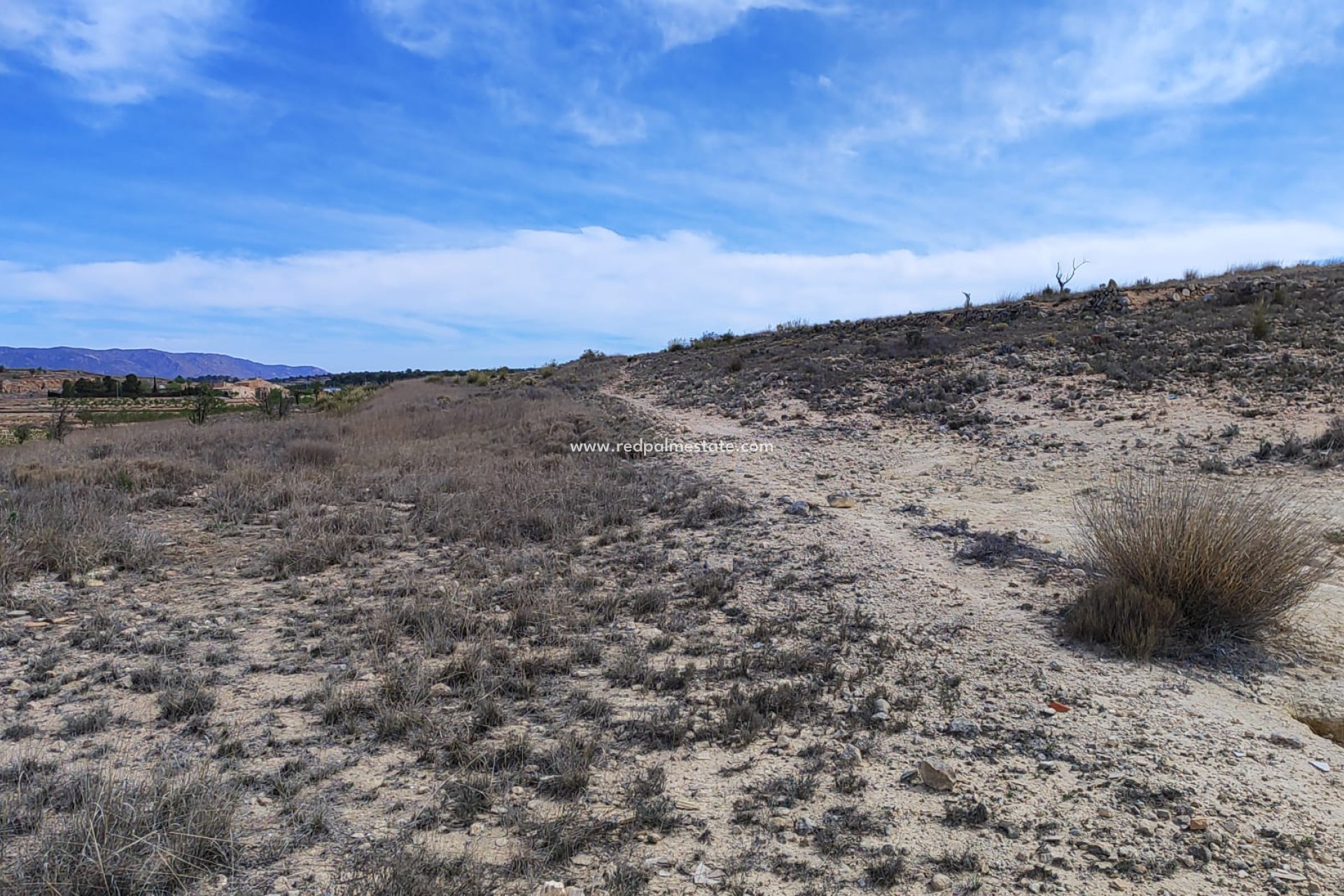 Videresalg - Plott -
Pinoso - Inland