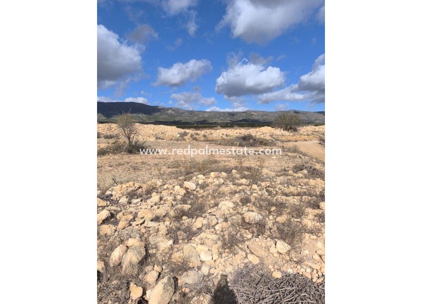 Videresalg - Plott -
Pinoso - Inland