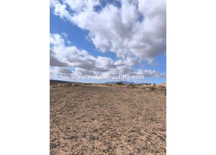 Videresalg - Plott -
Pinoso - Inland