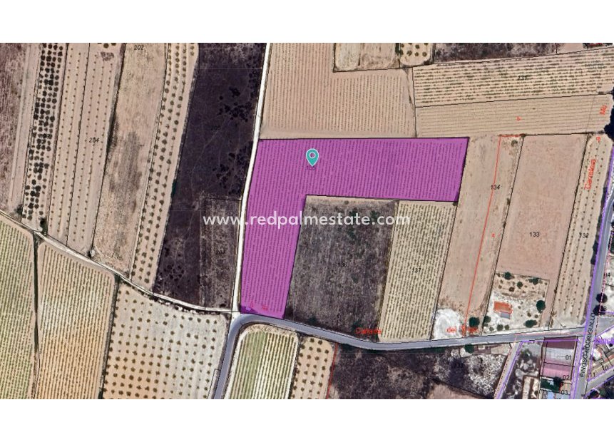 Videresalg - Plott -
Pinoso - Inland