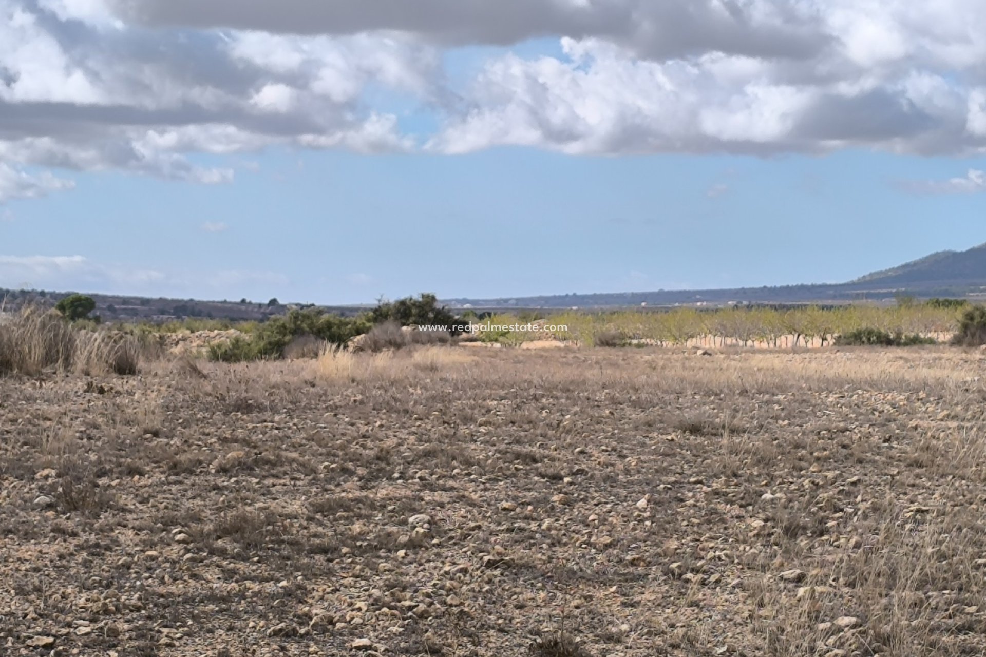 Videresalg - Plott -
Pinoso - Inland