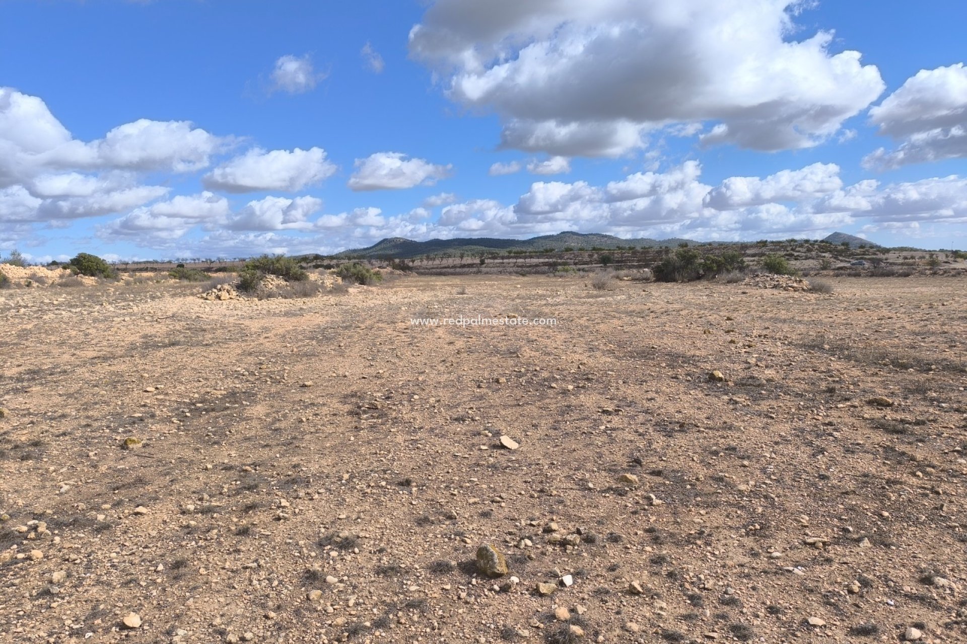 Videresalg - Plott -
Pinoso - Inland