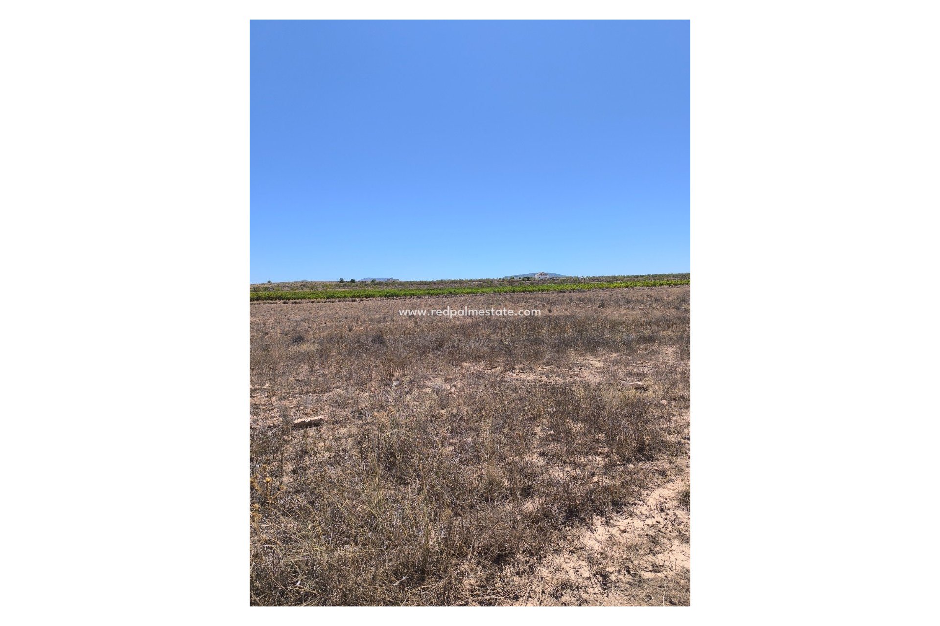 Videresalg - Plott -
Pinoso - Inland