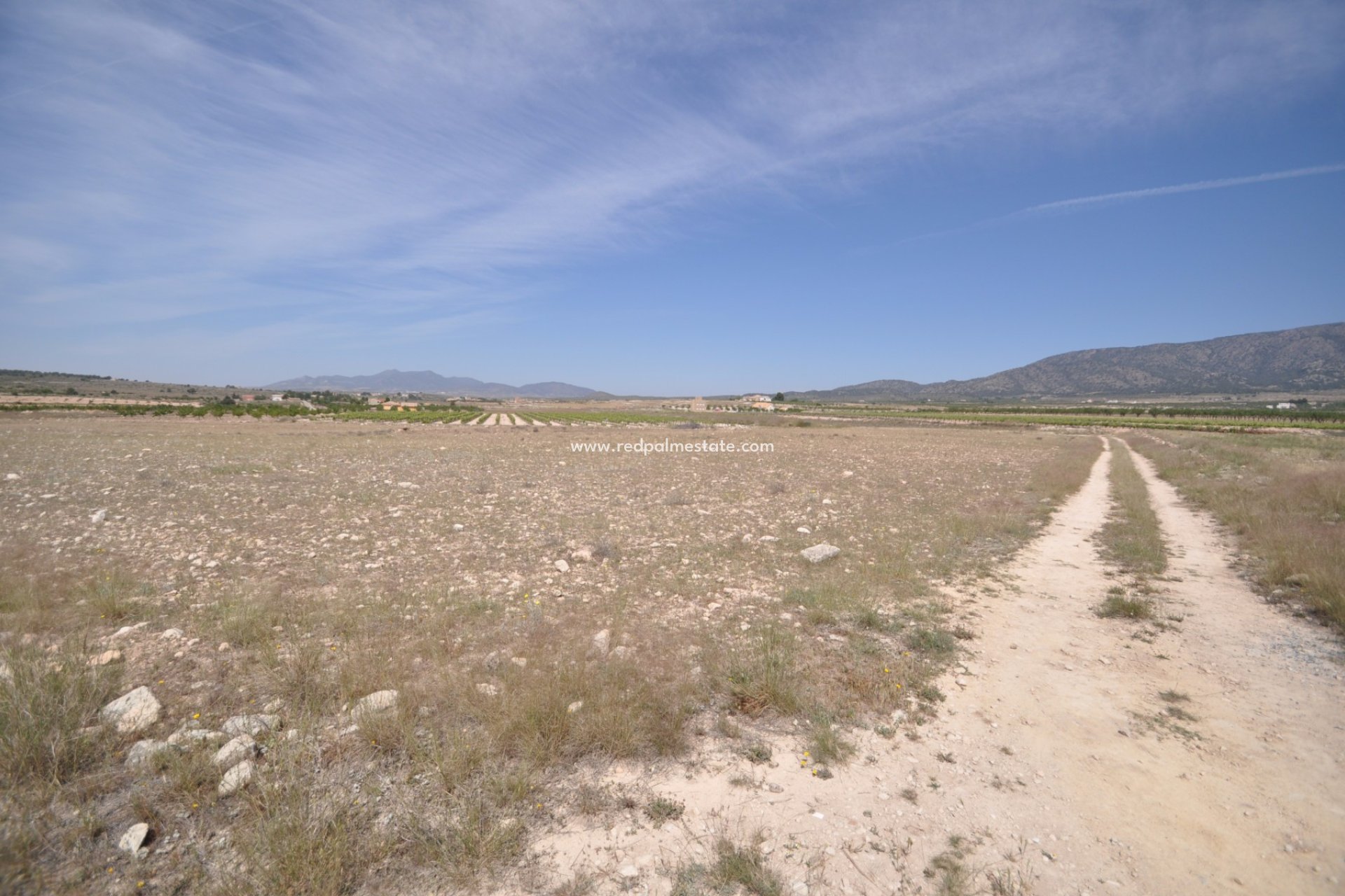 Videresalg - Plott -
Pinoso - Inland