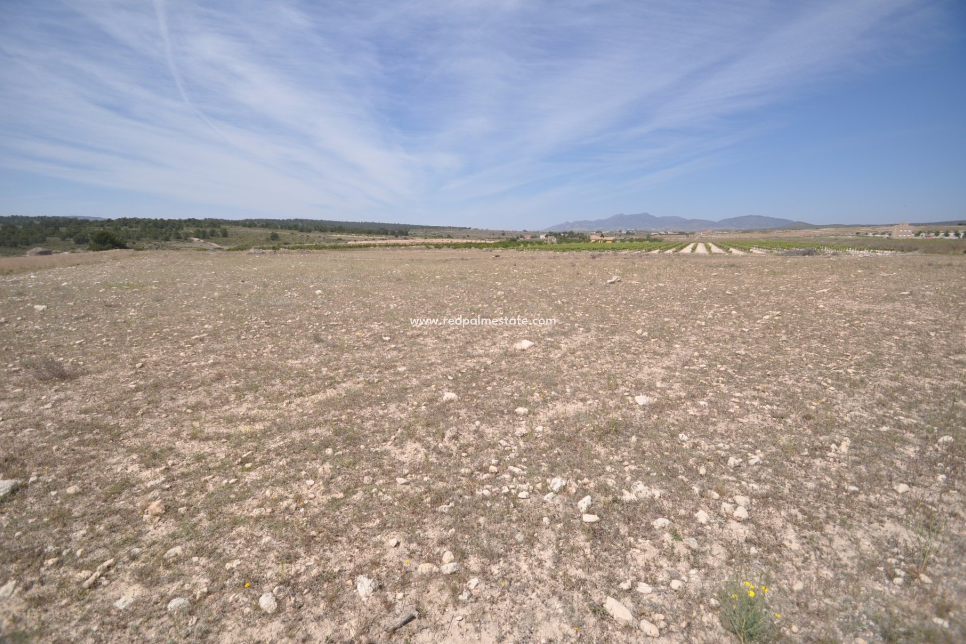 Videresalg - Plott -
Pinoso - Inland