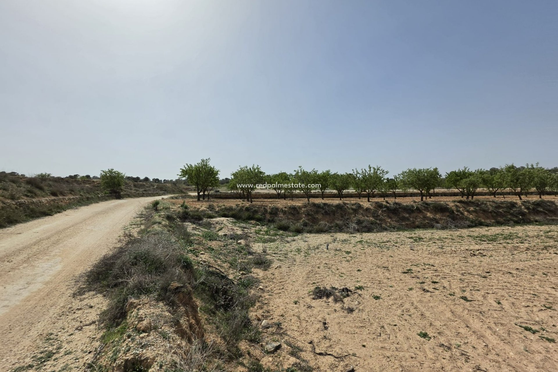 Videresalg - Plott -
Pinoso - Inland