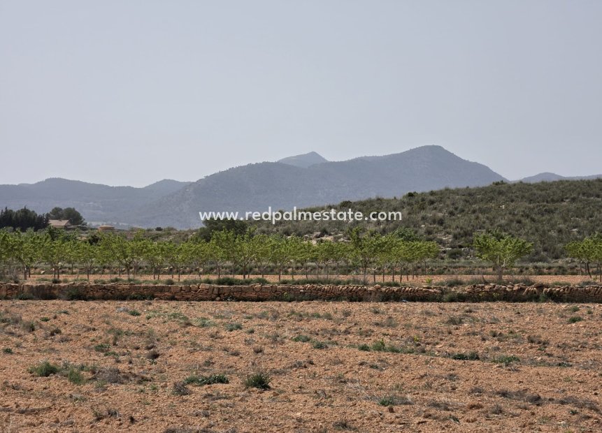 Videresalg - Plott -
Pinoso - Inland