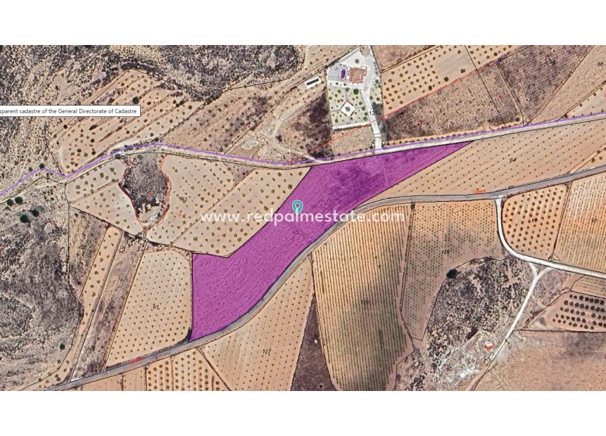 Videresalg - Plott -
Pinoso - Inland