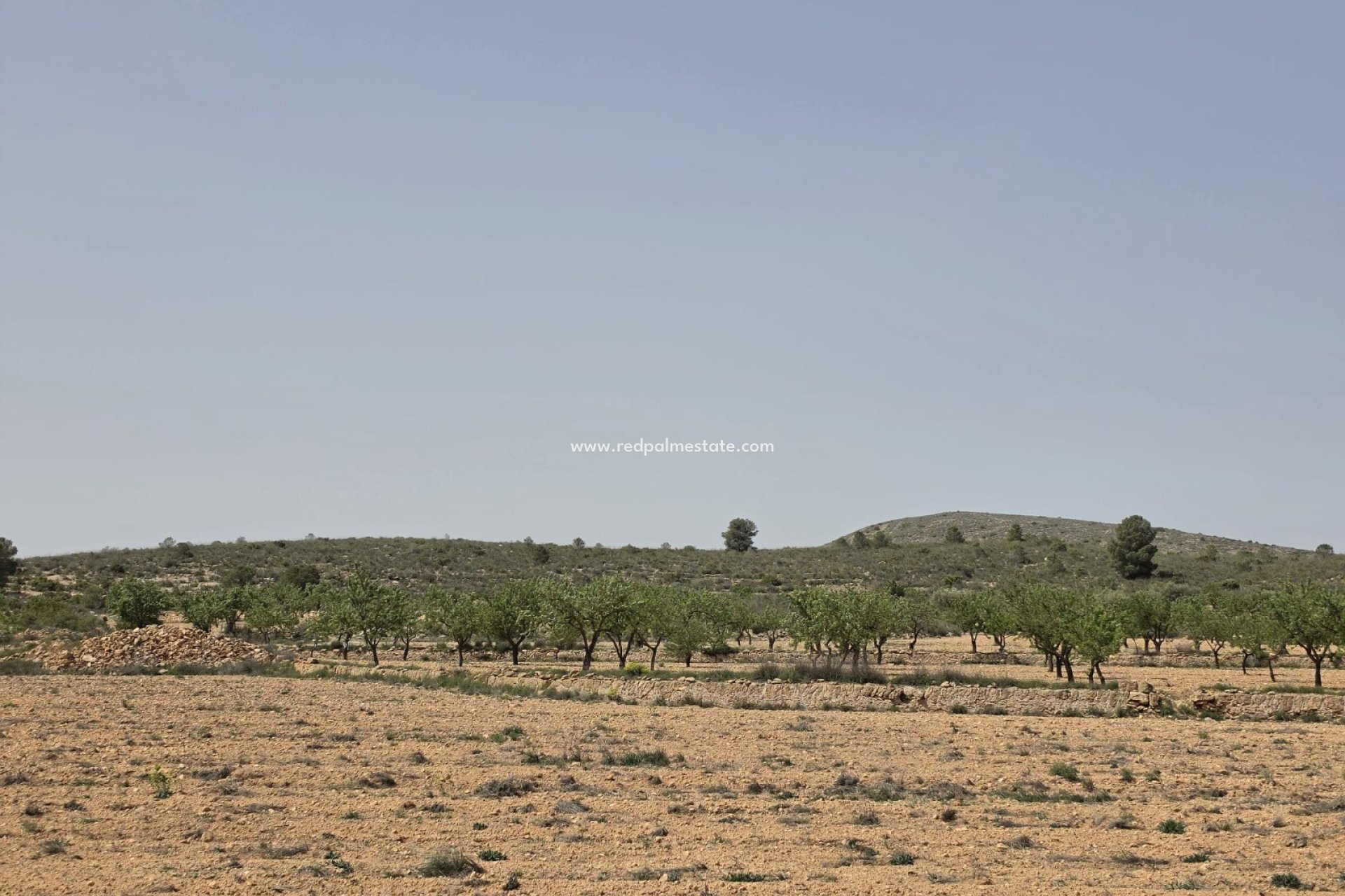 Videresalg - Plott -
Pinoso - Inland