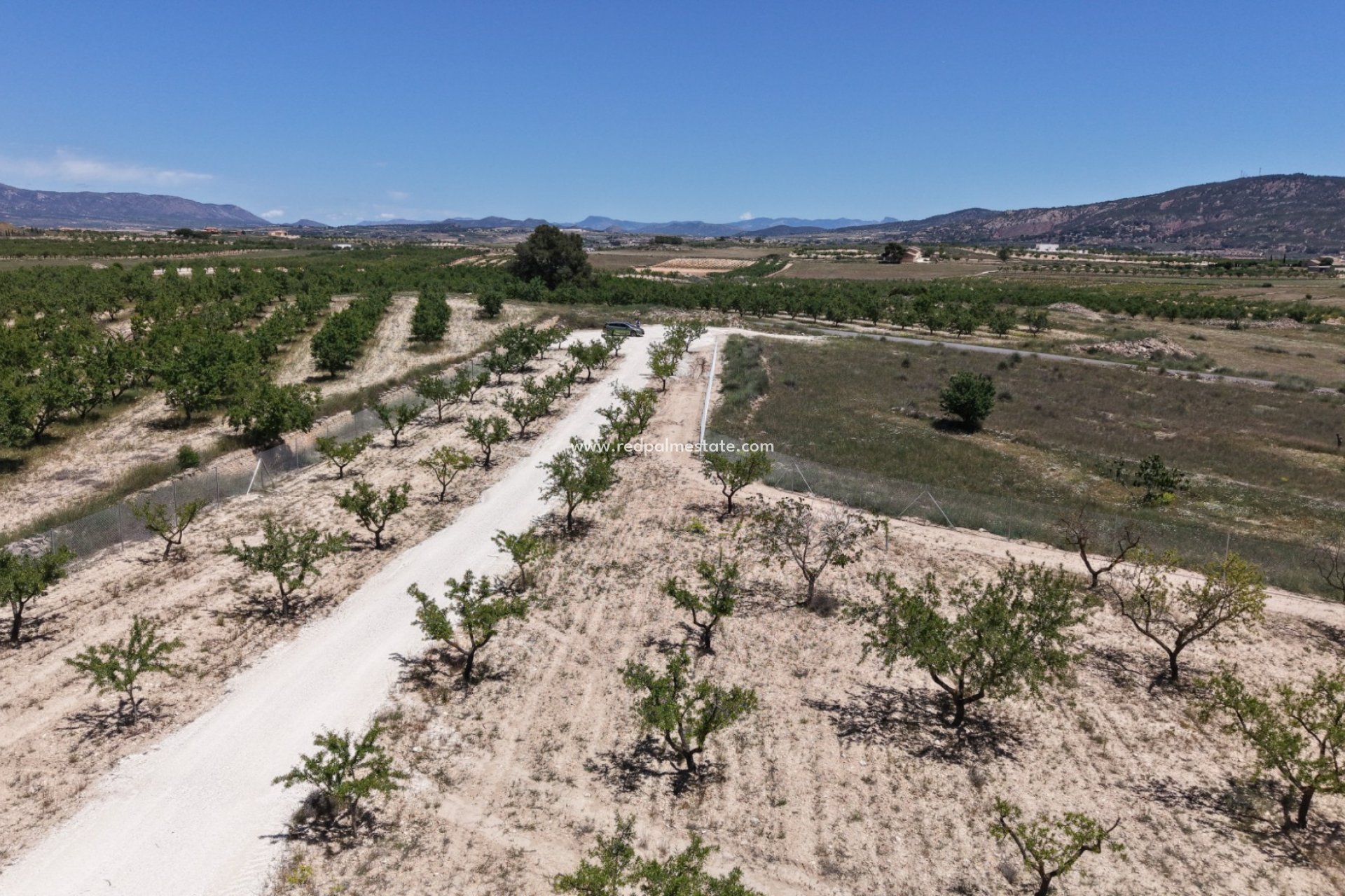 Videresalg - Plott -
Pinoso - Inland
