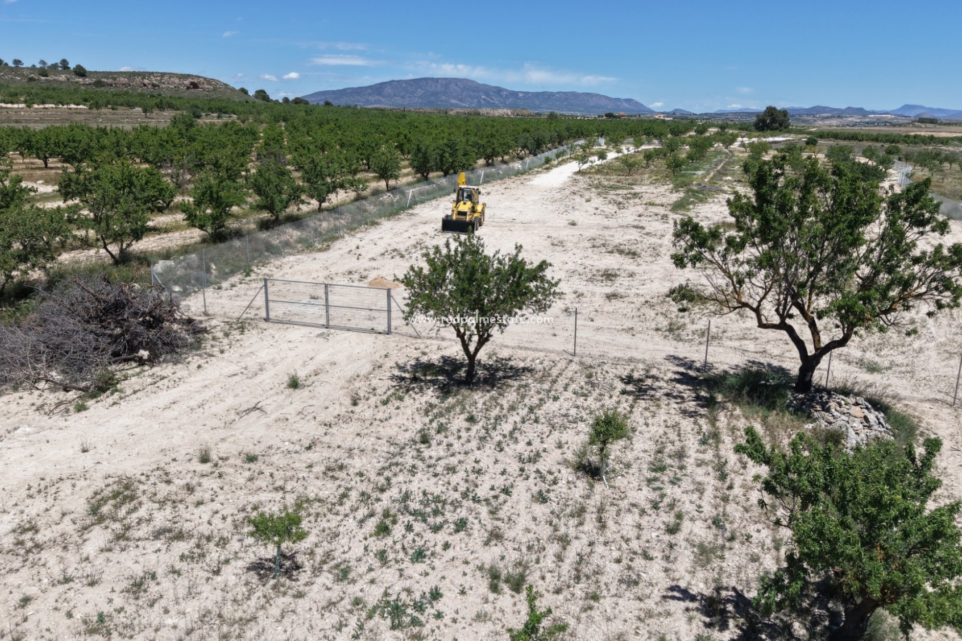 Videresalg - Plott -
Pinoso - Inland