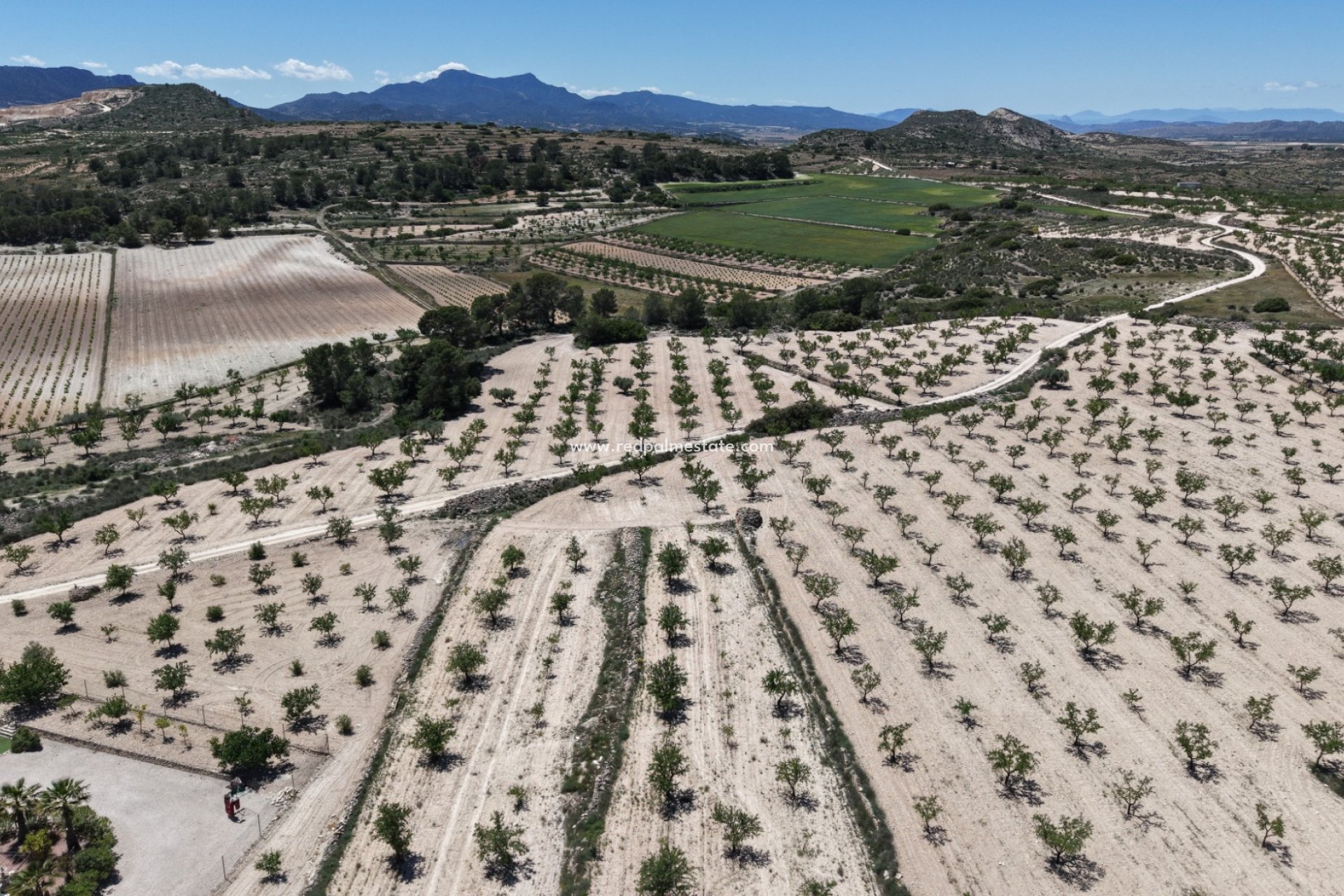 Videresalg - Plott -
Pinoso - Inland