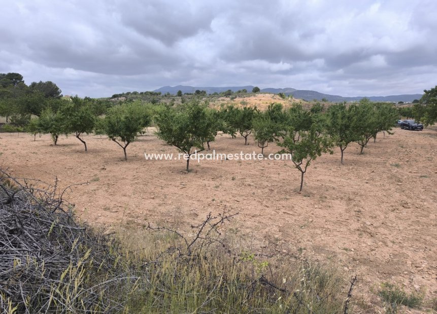Videresalg - Plott -
Pinoso - Inland